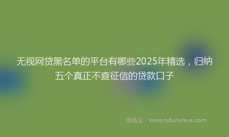 无视网贷黑名单的平台有哪些2025年精选，归纳五个真正不查征信的贷款口子