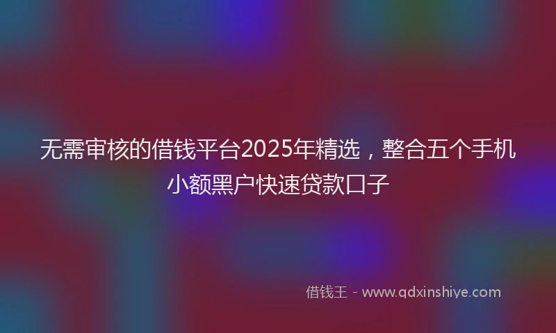 无需审核的借钱平台2025年精选，整合五个手机小额黑户快速贷款口子