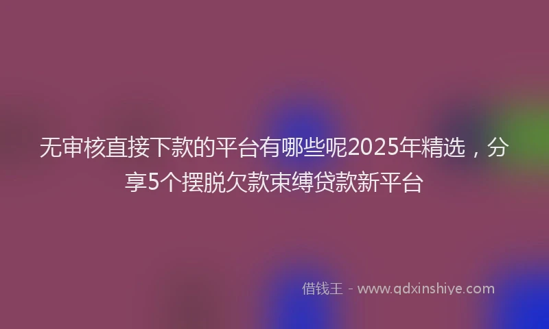 无审核直接下款的平台有哪些呢2025年精选，分享5个摆脱欠款束缚贷款新平台