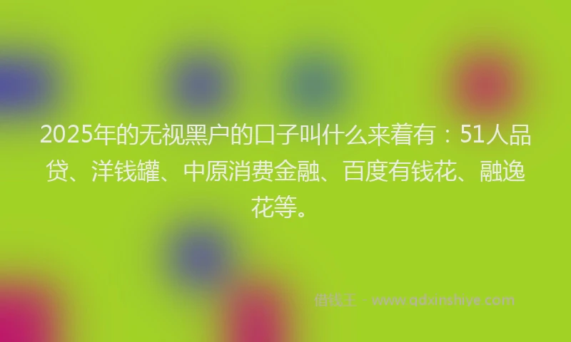 2025年的无视黑户的口子叫什么来着有：51人品贷、洋钱罐、中原消费金融、百度有钱花、融逸花等。