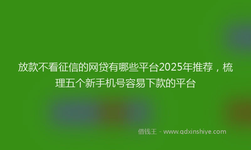 放款不看征信的网贷有哪些平台2025年推荐，梳理五个新手机号容易下款的平台