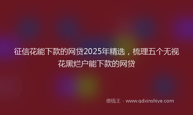 征信花能下款的网贷2025年精选，梳理五个无视花黑烂户能下款的网贷
