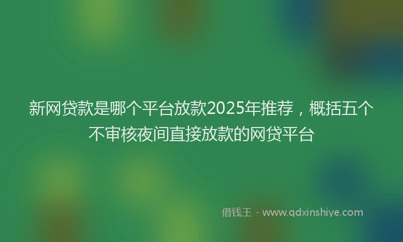 新网贷款是哪个平台放款2025年推荐，概括五个不审核夜间直接放款的网贷平台