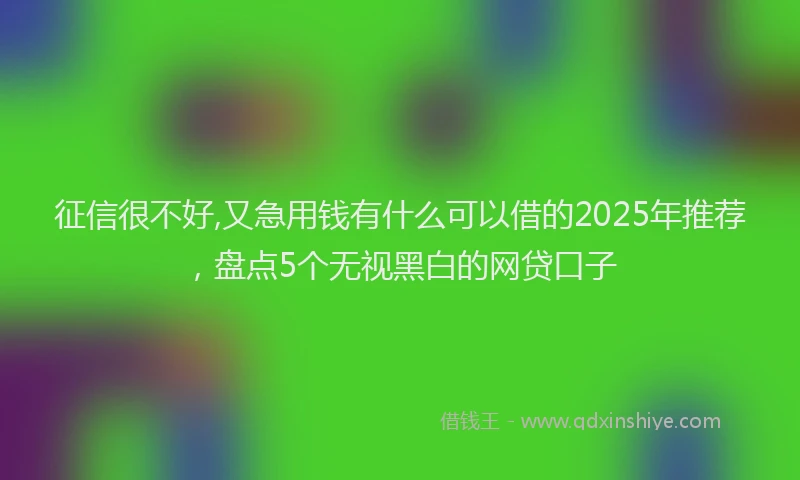征信很不好,又急用钱有什么可以借的2025年推荐，盘点5个无视黑白的网贷口子