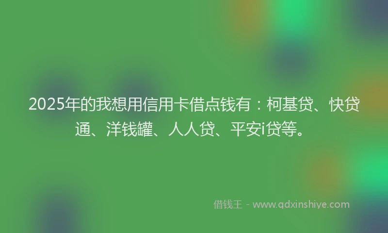 2025年的我想用信用卡借点钱有：柯基贷、快贷通、洋钱罐、人人贷、平安i贷等。