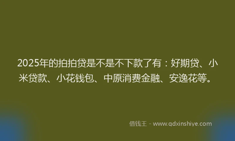 2025年的拍拍贷是不是不下款了有：好期贷、小米贷款、小花钱包、中原消费金融、安逸花等。