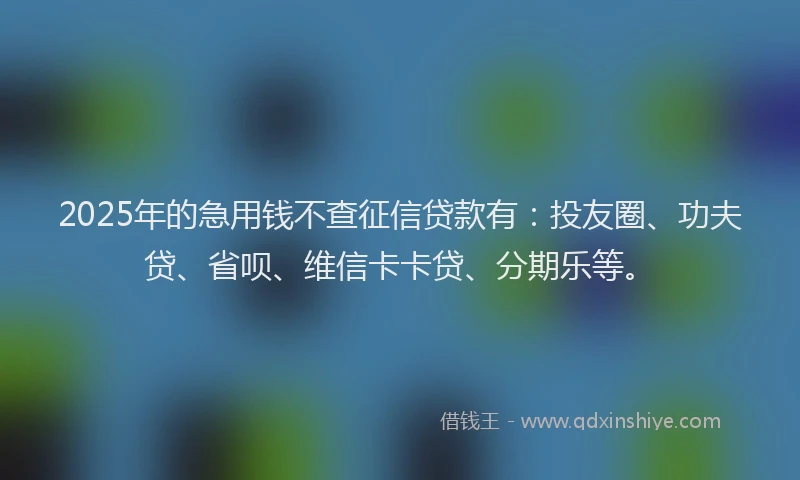 2025年的急用钱不查征信贷款有：投友圈、功夫贷、省呗、维信卡卡贷、分期乐等。