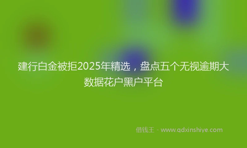 建行白金被拒2025年精选，盘点五个无视逾期大数据花户黑户平台