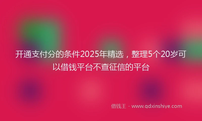 开通支付分的条件2025年精选，整理5个20岁可以借钱平台不查征信的平台