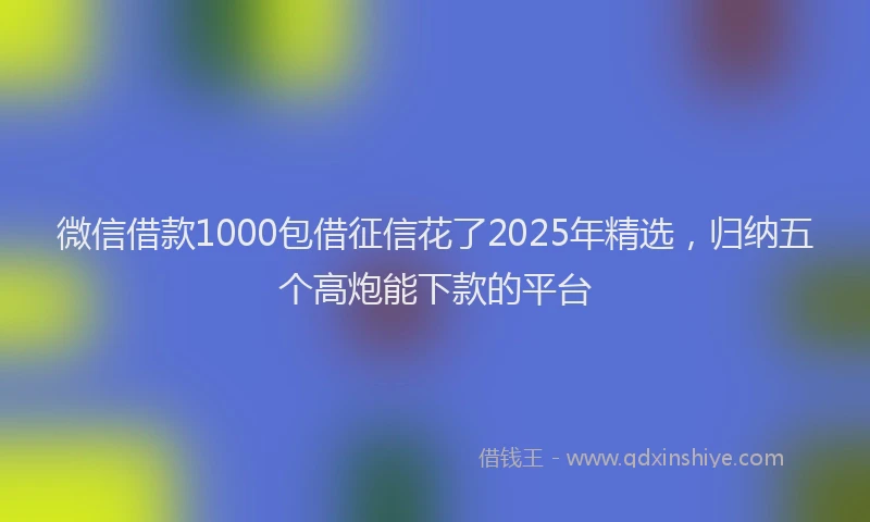 微信借款1000包借征信花了2025年精选，归纳五个高炮能下款的平台