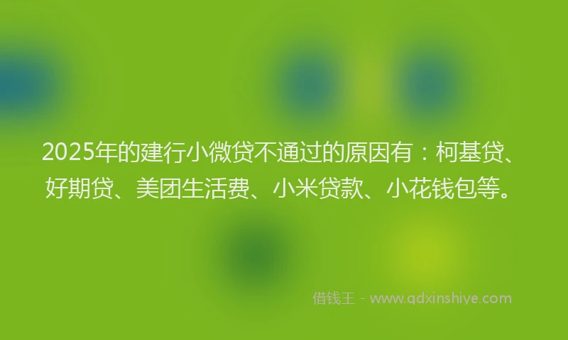 2025年的建行小微贷不通过的原因有：柯基贷、好期贷、美团生活费、小米贷款、小花钱包等。
