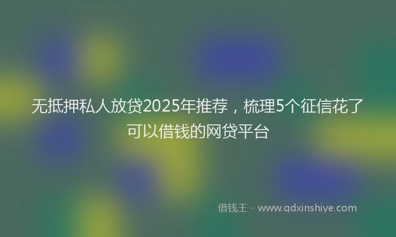 无抵押私人放贷2025年推荐，梳理5个征信花了可以借钱的网贷平台