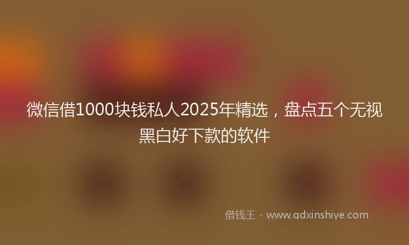 微信借1000块钱私人2025年精选，盘点五个无视黑白好下款的软件