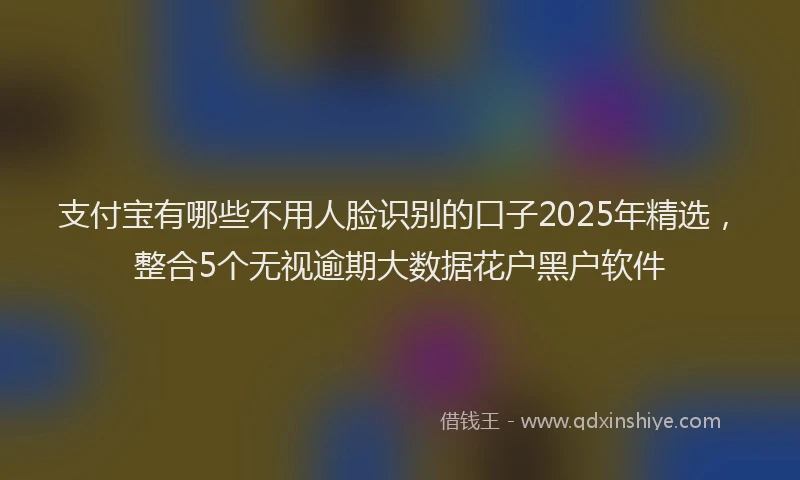 支付宝有哪些不用人脸识别的口子2025年精选，整合5个无视逾期大数据花户黑户软件