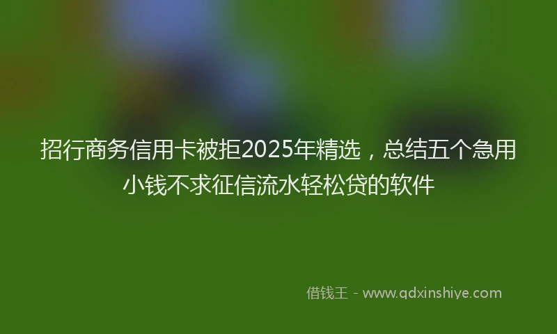 招行商务信用卡被拒2025年精选，总结五个急用小钱不求征信流水轻松贷的软件