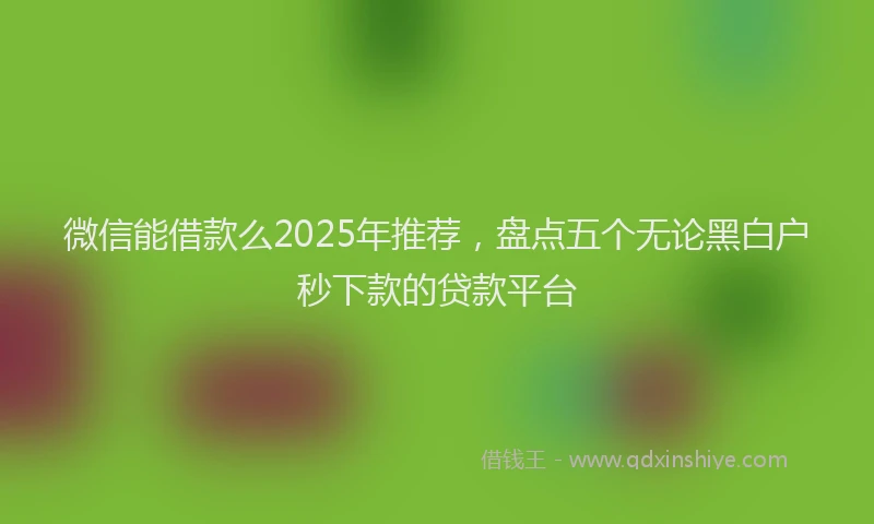 微信能借款么2025年推荐，盘点五个无论黑白户秒下款的贷款平台