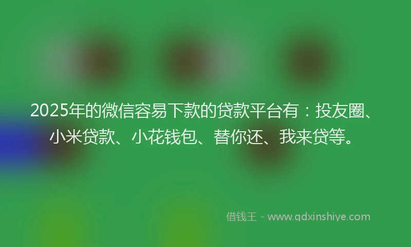 2025年的微信容易下款的贷款平台有：投友圈、小米贷款、小花钱包、替你还、我来贷等。