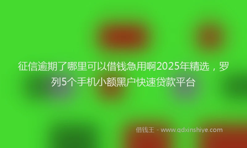 征信逾期了哪里可以借钱急用啊2025年精选，罗列5个手机小额黑户快速贷款平台