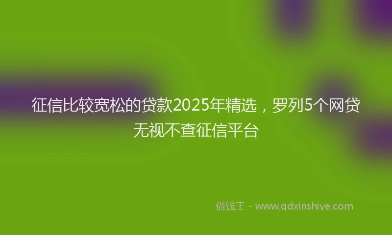 征信比较宽松的贷款2025年精选，罗列5个网贷无视不查征信平台