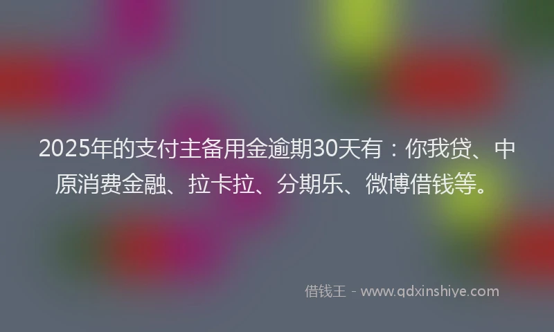 2025年的支付主备用金逾期30天有：你我贷、中原消费金融、拉卡拉、分期乐、微博借钱等。