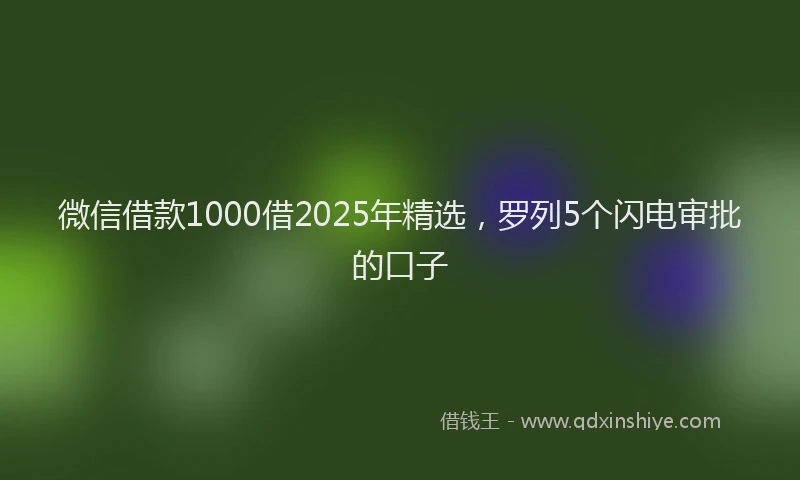 微信借款1000借2025年精选，罗列5个闪电审批的口子
