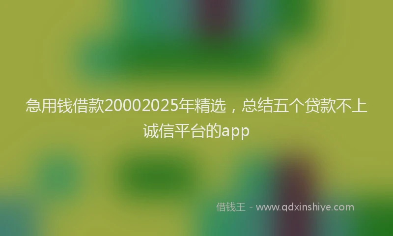 急用钱借款20002025年精选，总结五个贷款不上诚信平台的app