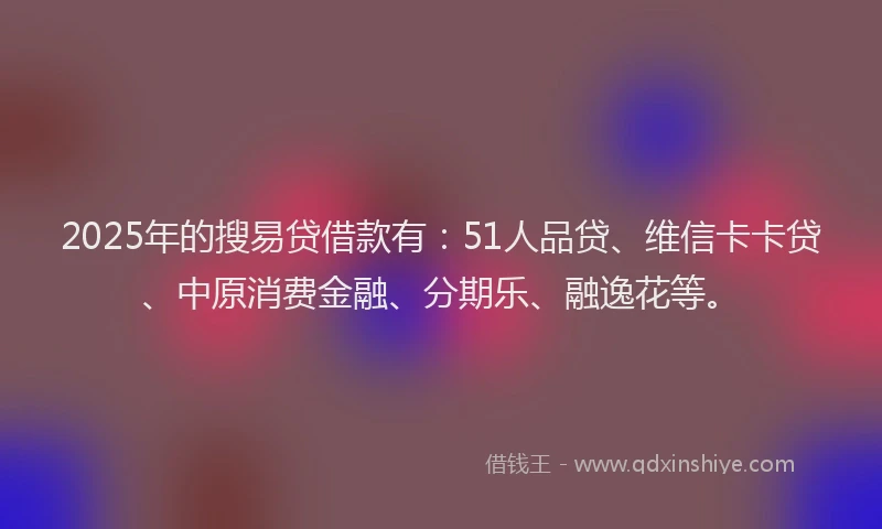 2025年的搜易贷借款有：51人品贷、维信卡卡贷、中原消费金融、分期乐、融逸花等。