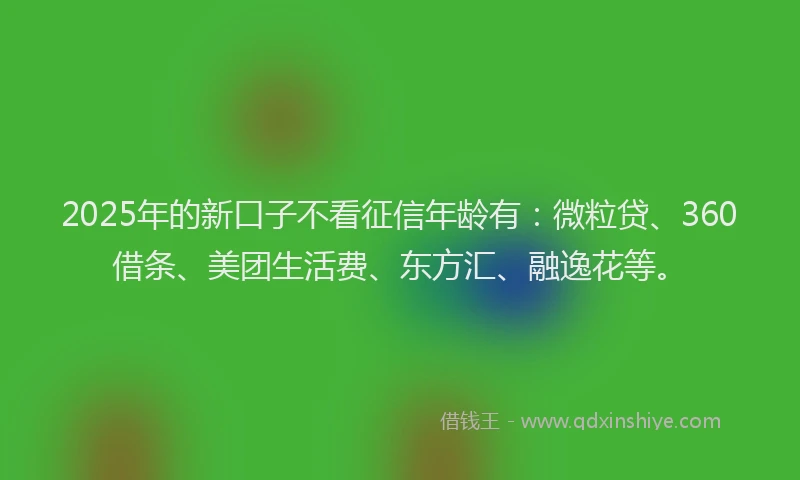 2025年的新口子不看征信年龄有：微粒贷、360借条、美团生活费、东方汇、融逸花等。