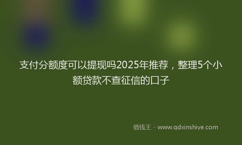 支付分额度可以提现吗2025年推荐，整理5个小额贷款不查征信的口子