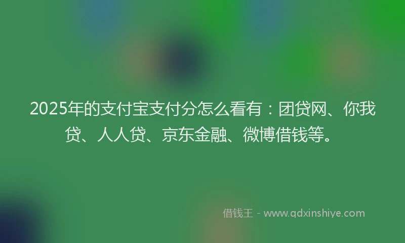 2025年的支付宝支付分怎么看有：团贷网、你我贷、人人贷、京东金融、微博借钱等。