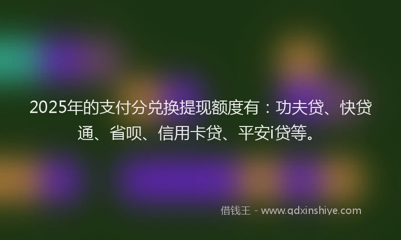 2025年的支付分兑换提现额度有：功夫贷、快贷通、省呗、信用卡贷、平安i贷等。