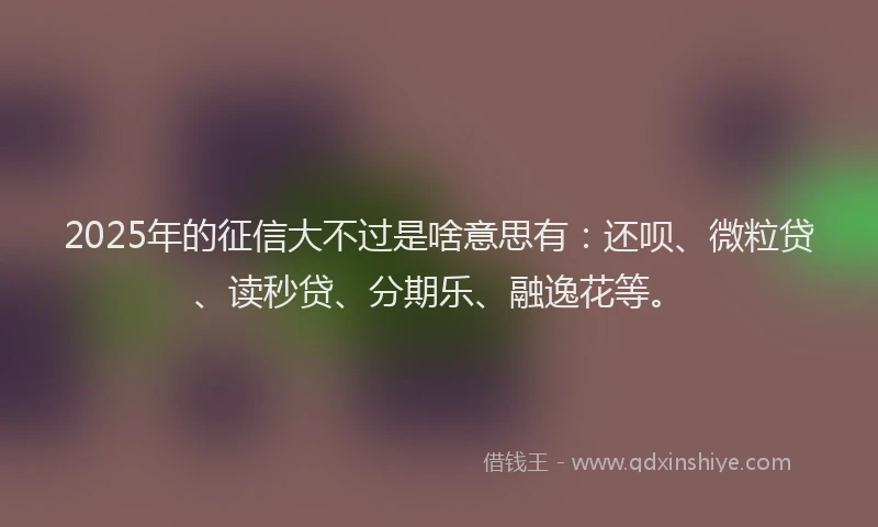 2025年的征信大不过是啥意思有：还呗、微粒贷、读秒贷、分期乐、融逸花等。