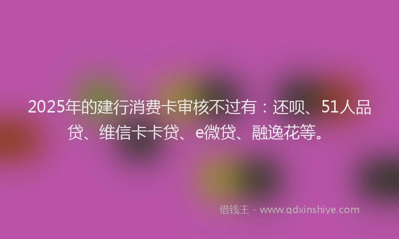 2025年的建行消费卡审核不过有：还呗、51人品贷、维信卡卡贷、e微贷、融逸花等。