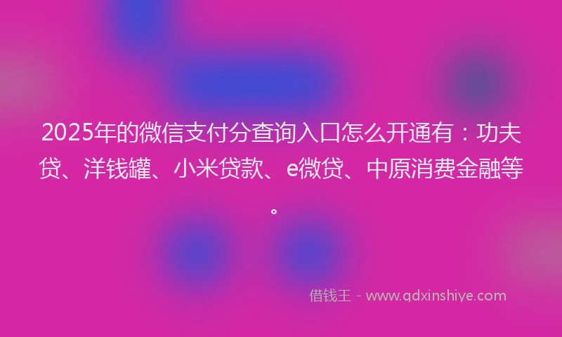 2025年的微信支付分查询入口怎么开通有：功夫贷、洋钱罐、小米贷款、e微贷、中原消费金融等。