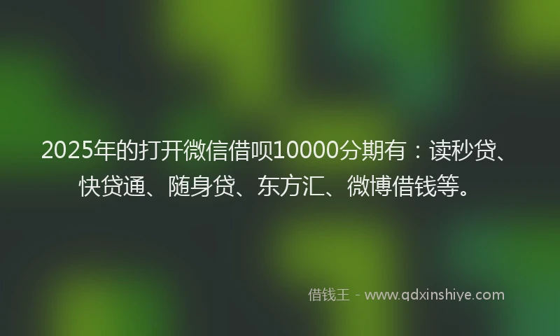 2025年的打开微信借呗10000分期有：读秒贷、快贷通、随身贷、东方汇、微博借钱等。