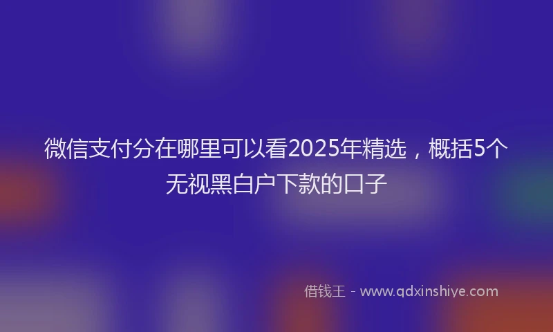 微信支付分在哪里可以看2025年精选，概括5个无视黑白户下款的口子