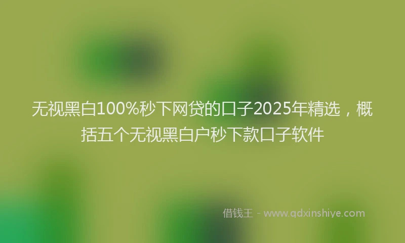 无视黑白100%秒下网贷的口子2025年精选，概括五个无视黑白户秒下款口子软件