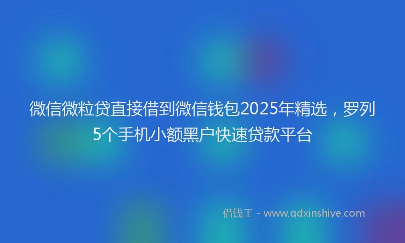 微信微粒贷直接借到微信钱包2025年精选，罗列5个手机小额黑户快速贷款平台