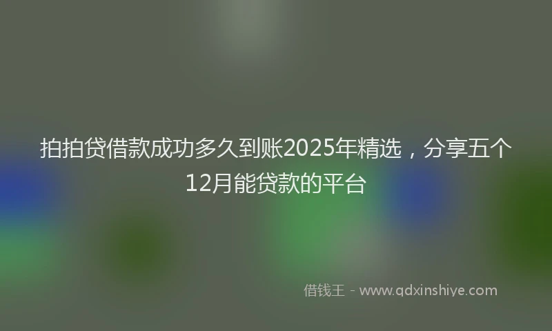 拍拍贷借款成功多久到账2025年精选，分享五个12月能贷款的平台