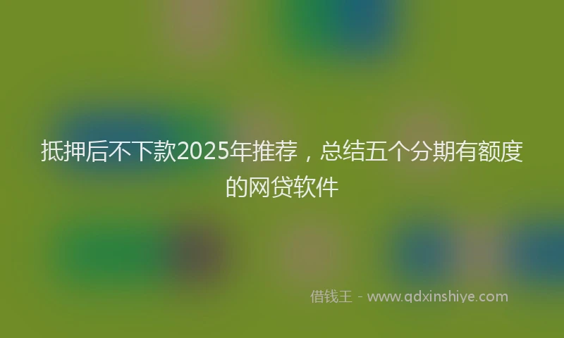 抵押后不下款2025年推荐，总结五个分期有额度的网贷软件