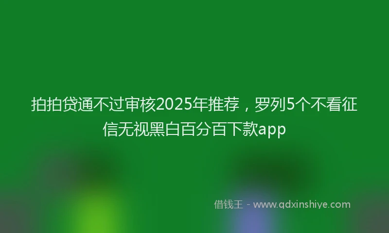 拍拍贷通不过审核2025年推荐，罗列5个不看征信无视黑白百分百下款app