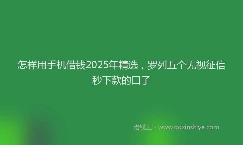 怎样用手机借钱2025年精选，罗列五个无视征信秒下款的口子