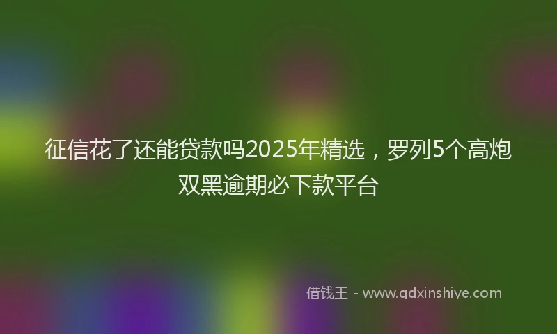 征信花了还能贷款吗2025年精选，罗列5个高炮双黑逾期必下款平台