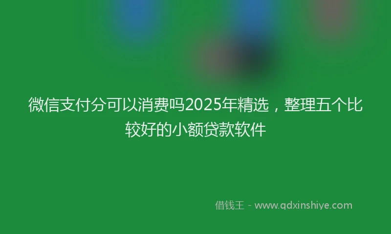 微信支付分可以消费吗2025年精选，整理五个比较好的小额贷款软件