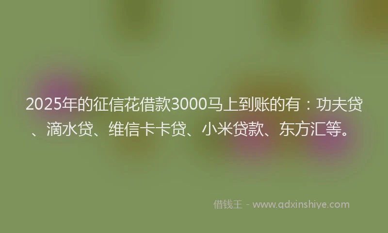 2025年的征信花借款3000马上到账的有：功夫贷、滴水贷、维信卡卡贷、小米贷款、东方汇等。