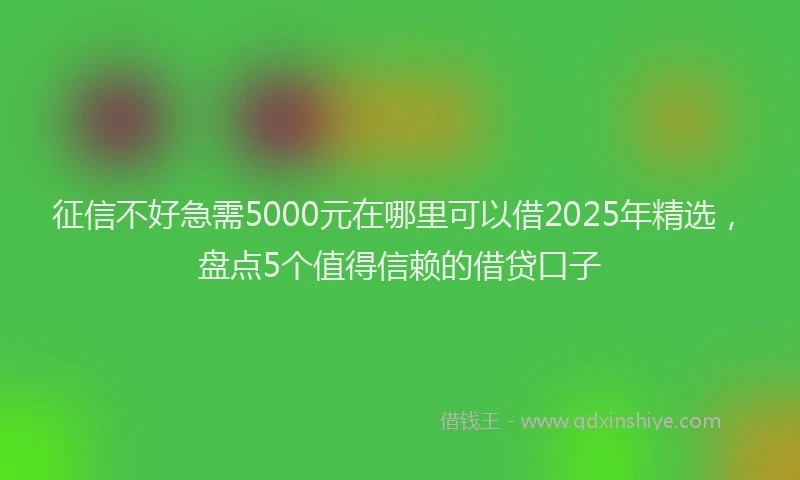 征信不好急需5000元在哪里可以借2025年精选，盘点5个值得信赖的借贷口子