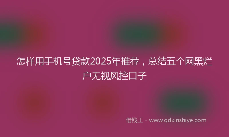怎样用手机号贷款2025年推荐，总结五个网黑烂户无视风控口子