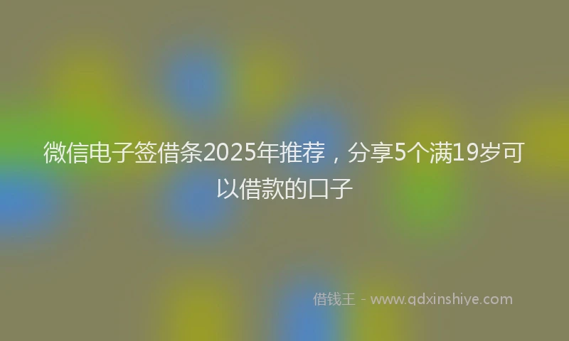 微信电子签借条2025年推荐，分享5个满19岁可以借款的口子