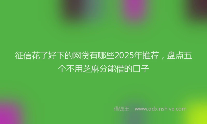 征信花了好下的网贷有哪些2025年推荐，盘点五个不用芝麻分能借的口子