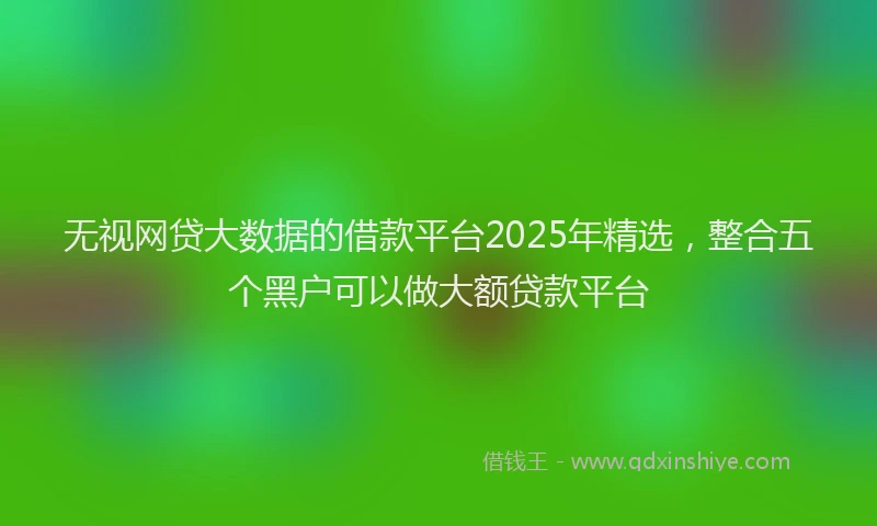 无视网贷大数据的借款平台2025年精选，整合五个黑户可以做大额贷款平台